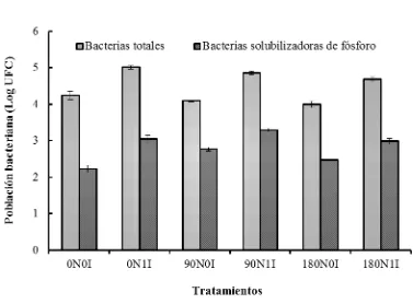 Figura 2. Población bacteriana presente en la rizosfera de maíz a los 40 días después de la siembra, 