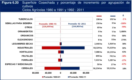 Figura 6.20 