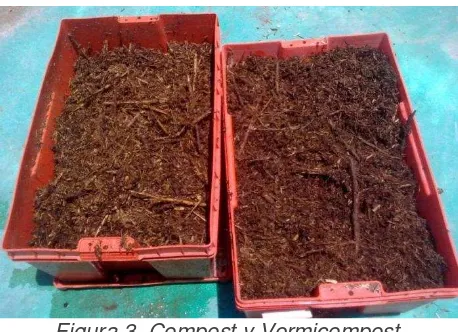 Figura 3. Compost y Vermicompost. 