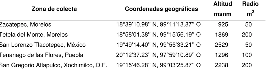 Cuadro 2.1. Coordenadas geográficas y altitud del punto central de las zonas de colecta de los adultos de Sciaridae y radio del área recorrida en cada una de ellas 