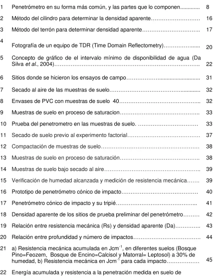 Figura                                                                                                                     Página 