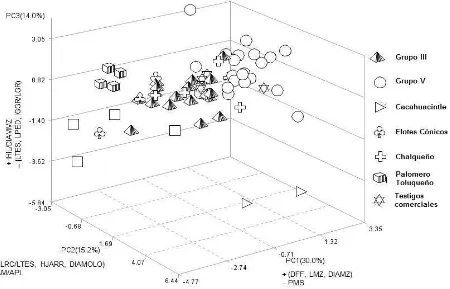 Figura 1.1. Dispersión de poblaciones de maíz, con base en los tres primeros componentes principales y su relación con las variables originales más importantes