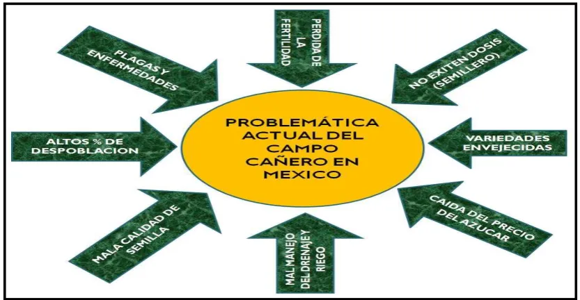 Figura 1. Problemática del campo cañero. 