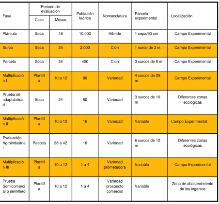 Cuadro 1. Procedimiento a desarrollar para liberar una variedad de caña de azúcar. 