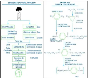 Figura 1. Esquema y química del proceso para la obtención del PET 