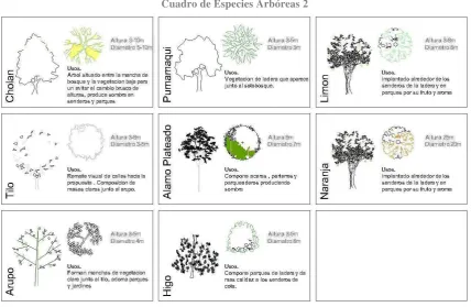 Cuadro de Especies Arbóreas 2 