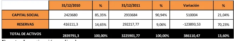 Tabla N° 8: Patrimonio 2010-2011 
