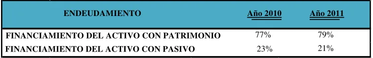 Tabla N° 11: Indicadores de Endeudamiento 