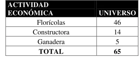 TABLA 8 CUADRO DE UNIVERSO DE EMPRESAS 