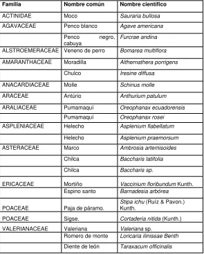 Cuadro N° 4. Lista de especies de flora en la zona 