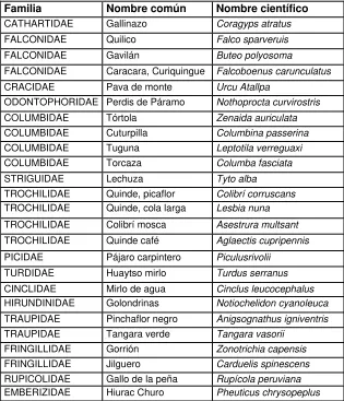 Cuadro N° 6. Lista de especies de mamíferos de la zona 