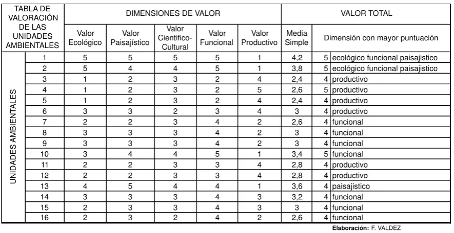 Tabla 2.5. Valoración de unidades síntesis 