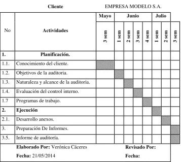 Tabla N° 19: Cronograma de Actividades 