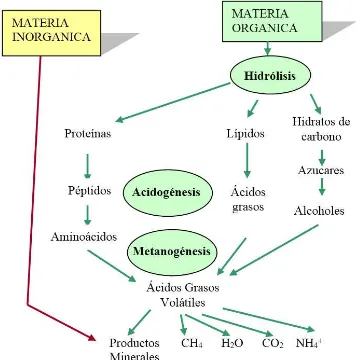 Figura 2. Secuencia metabólica y grupos microbianos involucrados en la digestión anaeróbica.