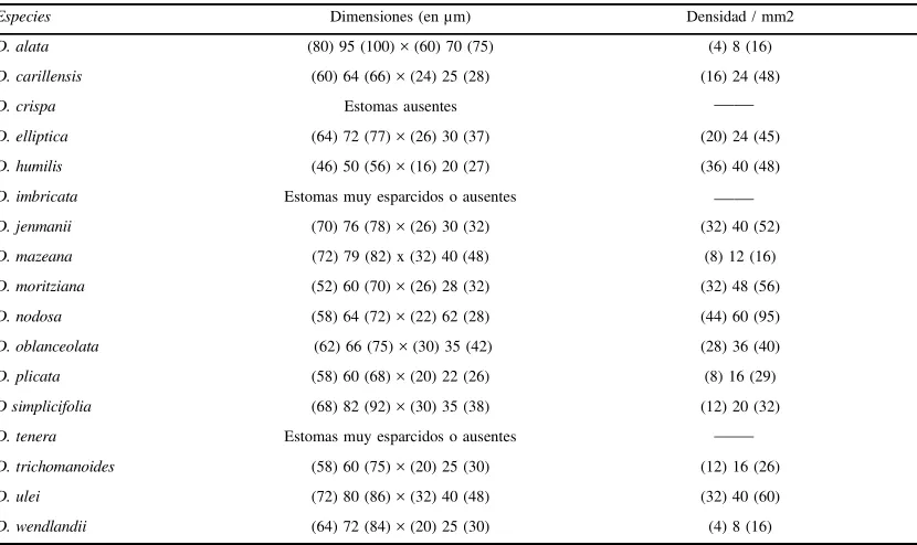 Tabla 1.- Dimensiones y densidades estomáticas en especies de Danaea.