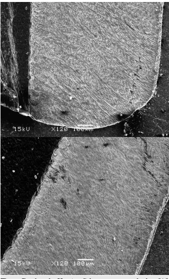 Fig 2. Bandas de Hunter Schreger ocupando los 2/ 3 externo. Zona media de la cara labial en incisivo (MEB internos del espesor del esmalte y esmalte radial x120).