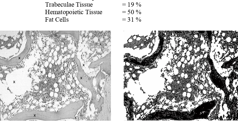 Figure 2 shows the step sequence of the proposed method for one sample image. Figure 2 (a) shows the original image, with the pixels of three classes selected by a user