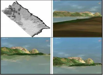 Figura 2 -  MDE correspondiente al Lago Nahuel Huapi, Bariloche, Arg.(a) Malla irregular de triángulos