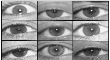 Fig. 1. Architecture of the iris recognition system based on ARX models