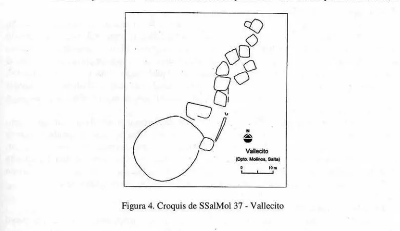 Figura 4. Croquis de SSalMol 37 - Vallecito 