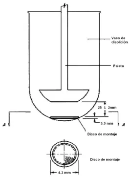 Figura 2.1.2.: Esquema del aparato del modelo de paleta sobre el disco.  