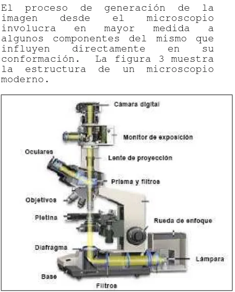 Fig. 2:  Diafragmas de iluminación y de detección en unmicroscopio confocal.