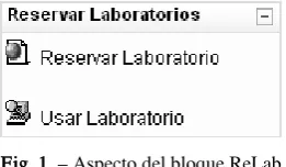 Fig. 1. – Aspecto del bloque ReLab 