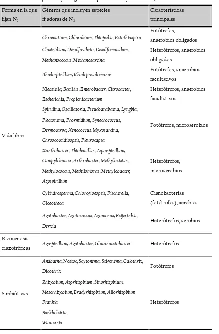 Tabla I.1 Géneros que incluyen organismos procariotas fijadores de N2. 