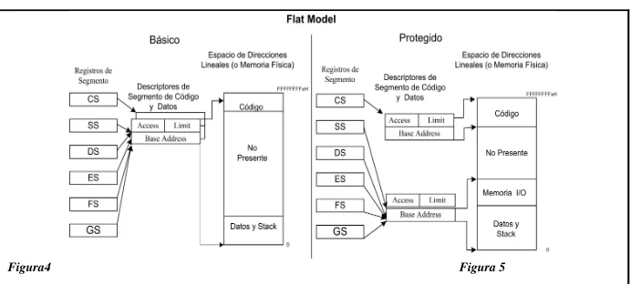 Figura 6