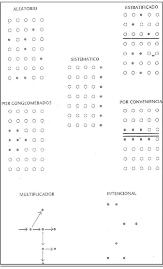 Cuadro 8. Los tipos de muestreos 