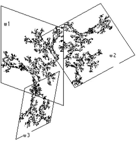 Figura 1: El atractor de un IFS con tres mapas (“coral”).