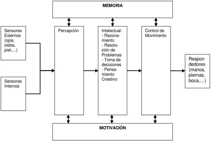 Fig. 1: Modelo de Estados de Procesamiento de Información