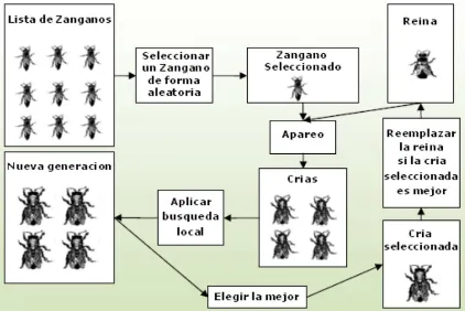 Figura 3: Algoritmo HBMO