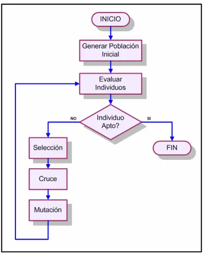 Figura 2. Funcionamiento de un AG. 