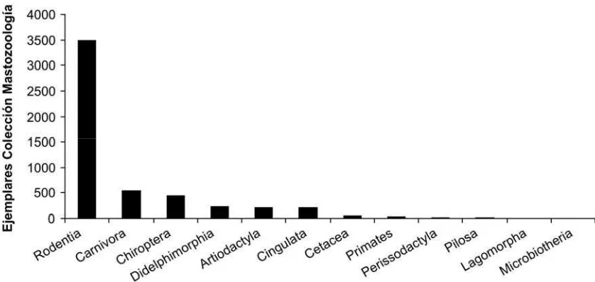 Figura 2. Representación de los órdenes de mamíferos presentes en Argentina en la colección Mastozoología del Museo de La Plata