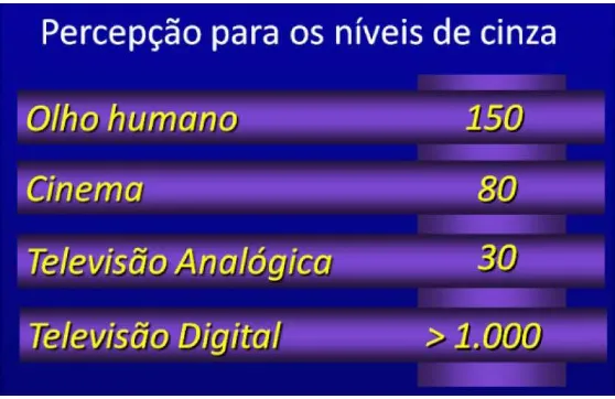 Figura 3: Percepção para os níveis de cinza. Figura organizada e produzida pelo autor