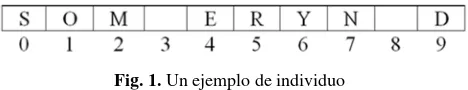 Fig. 1. Un ejemplo de individuo 