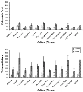 Figura 1. Número médio de visita floral (abelhas/planta/minuto) de Apis mellifera em diferentes clones de macieira e   cultivares em função do período de observação em 2010 (acima) e 2011 (abaixo)