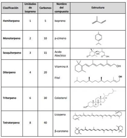 Tabla 1-3: Clasificación de terpenoides y algunos ejemplos de los mismos. 