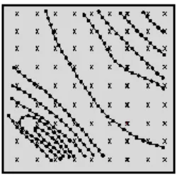 Figura 4. Puntos muestreados irregularmente enpor el una área hipotética en la fase de digitalización delas curvas de nivel (  ), y los puntos interpoladossoftware (x)