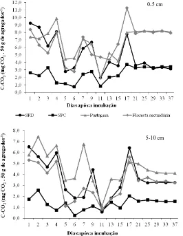 Figura 1. Evolução diária de C-CO2 nas amostras de agregados (profundidade de 0-5 e 5-10 cm) incubados até os 37   dias de avaliação, nos diferentes sistemas de uso do solo em Marmeleiro, Paraná, Brasil