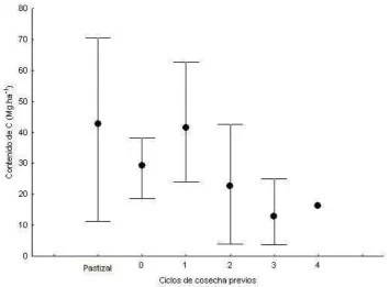 Figure 2. C content in the first 20 cm of soil of stands of E. grandis according to the 