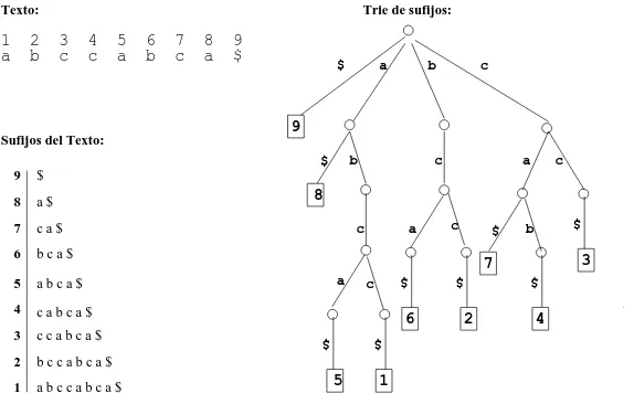 Figura 1. Un texto, su correspondiente conjunto de suﬁjos y trie de suﬁjos. A la izquierda de cadasuﬁjo se ha indicado su correspondiente ´ındice.