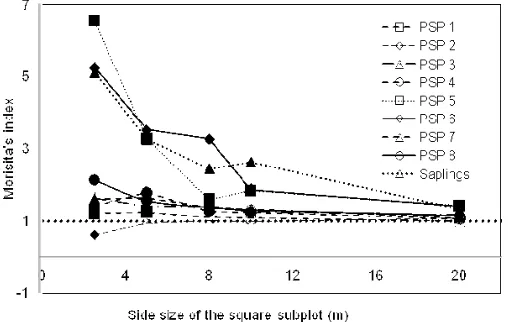 Figure 6: Values of Morisita's index of dispersion (IM) of A. araucana adults (PSP 1 - 8) and saplings (PSP 1) for different subplot sizes within the eight permanent sampling plots (PSP)