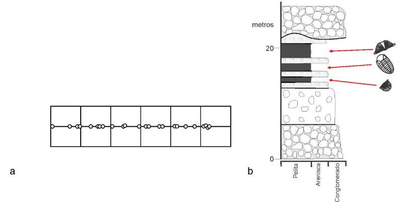 Figura 5. Muestreo estratificado simple. a. Esquema de muestreo en una estructura lineal (las líneas verticales representan estratos)
