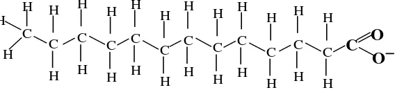 Figura 1.2.Fórmula desarrollada de una molécula de jabón