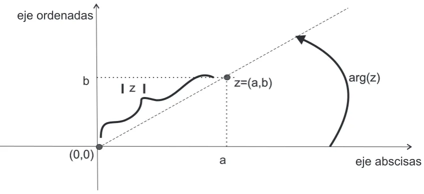 Figura 5.1: m´odulo y argumento de un n´umero complejo.
