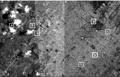 Figura 3. Ciudad  de La Plata -el cuadrado y su periferia. Los casos. 