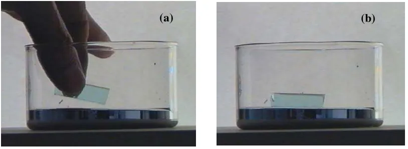 Figura 1. (a)Una lámina de vidrio es depositada en un recipiente con mercurio,     (b) La lámina de vidrio flota sobre el mercurio