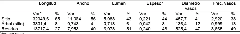 Tabla 3. Componentes de la varianza. Estimaciones y valores porcentuales. Table 3. Variance component  Longitud Ancho Lumen Espesor 